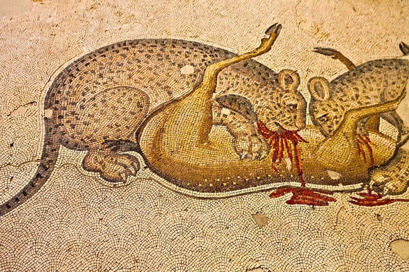 Mosaic Museum