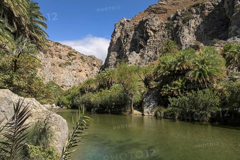 Stream