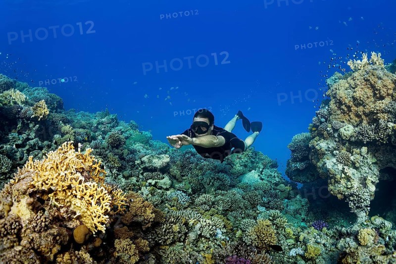 Apnoea diver
