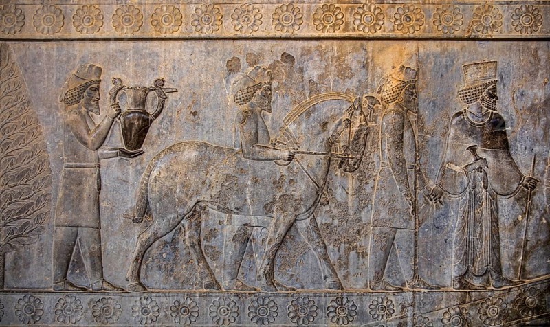 Relief detail of the delegation of nations bringing gifts to Darius on the steps of Apadana Palace