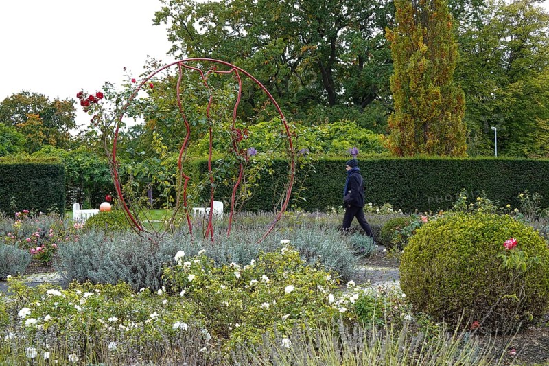 Palace gardens