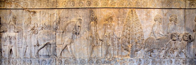 Relief detail of the delegation of nations bringing gifts to Darius on the steps of Apadana Palace