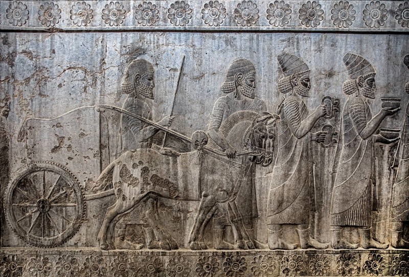 Relief detail of the delegation of nations bringing gifts to Darius on the steps of Apadana Palace