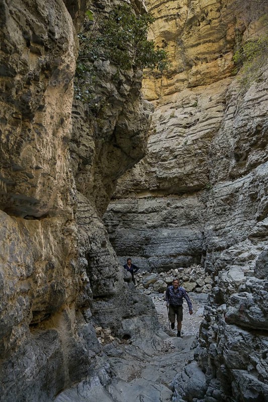 Narrows