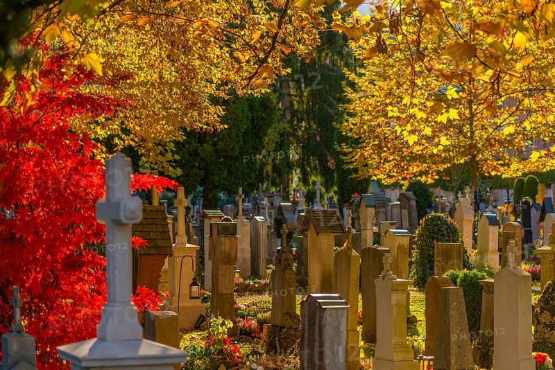 Old cemetery