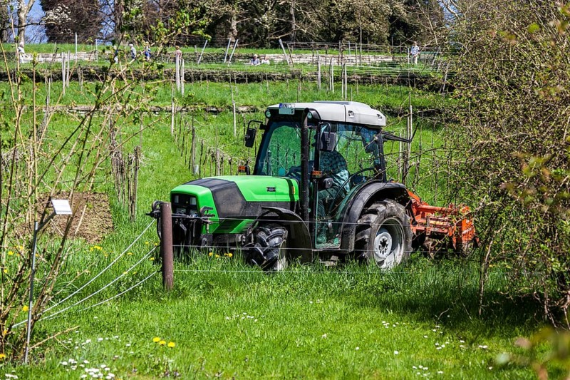Farmer with his tractor at work among the vineyards on the hillside