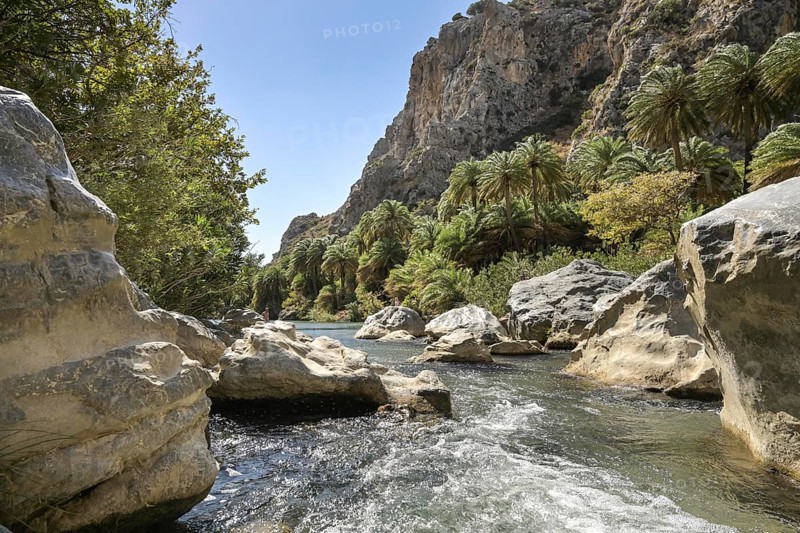Stream