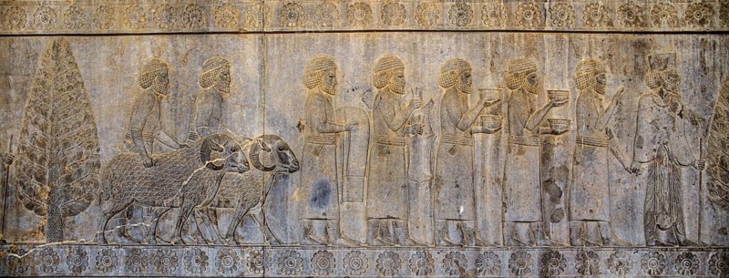 Relief detail of the delegation of nations bringing gifts to Darius on the steps of Apadana Palace