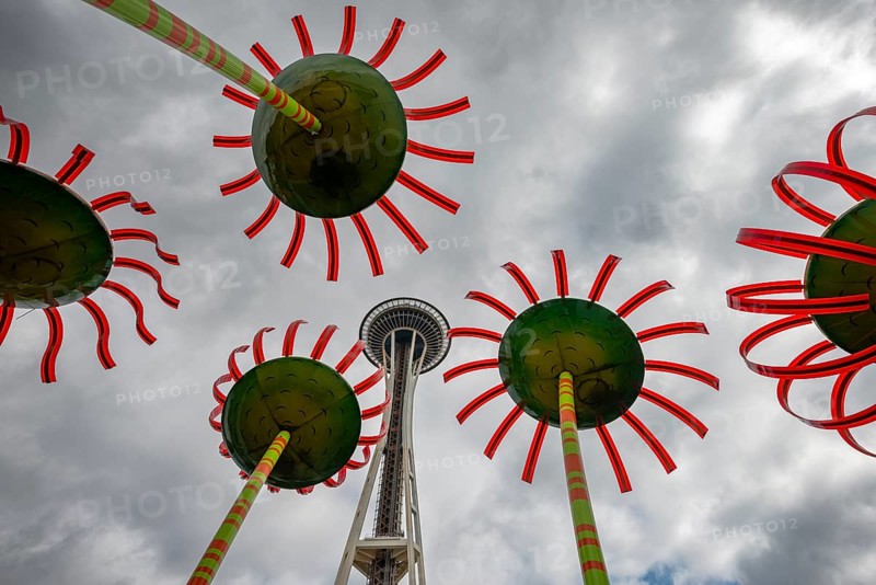 Glass flowers and Space Needle