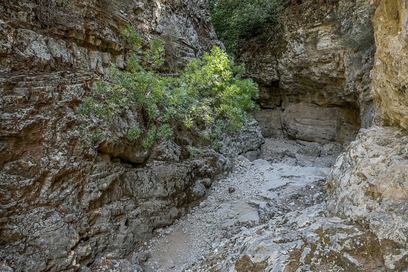 Narrows