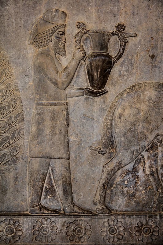 Relief detail of the delegation of nations bringing gifts to Darius on the steps of Apadana Palace