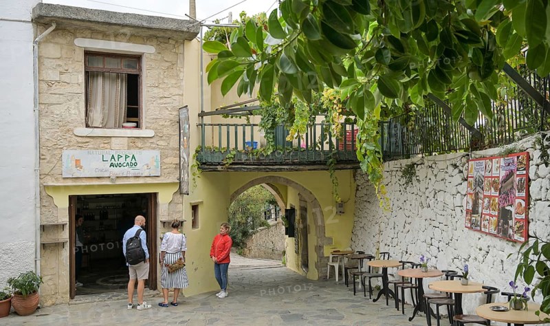 Lappa Avocado