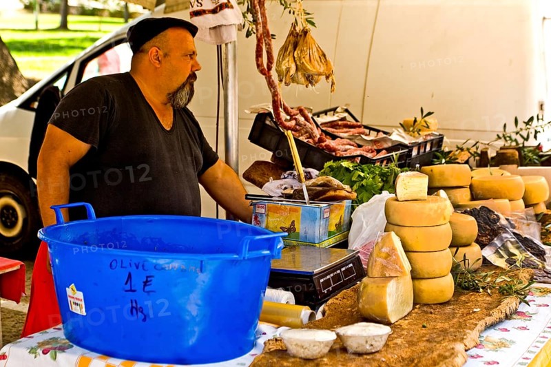 Cheese stall at market with peccorino