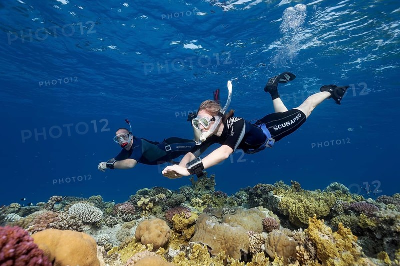 Apnoea diver