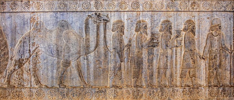 Relief detail of the delegation of nations bringing gifts to Darius on the steps of Apadana Palace