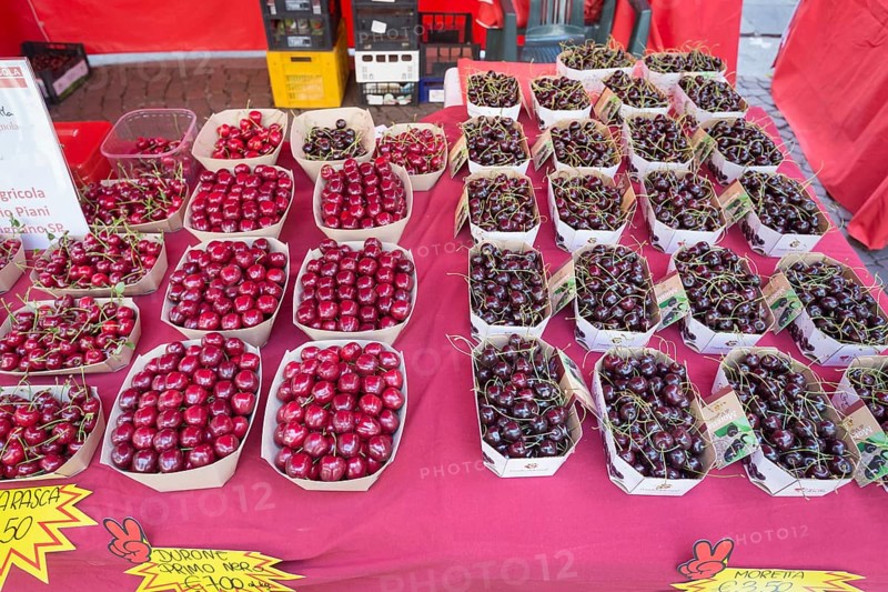 Various types of cherries for sale