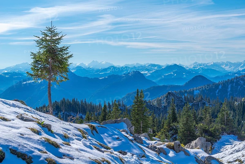 Alpine panorama