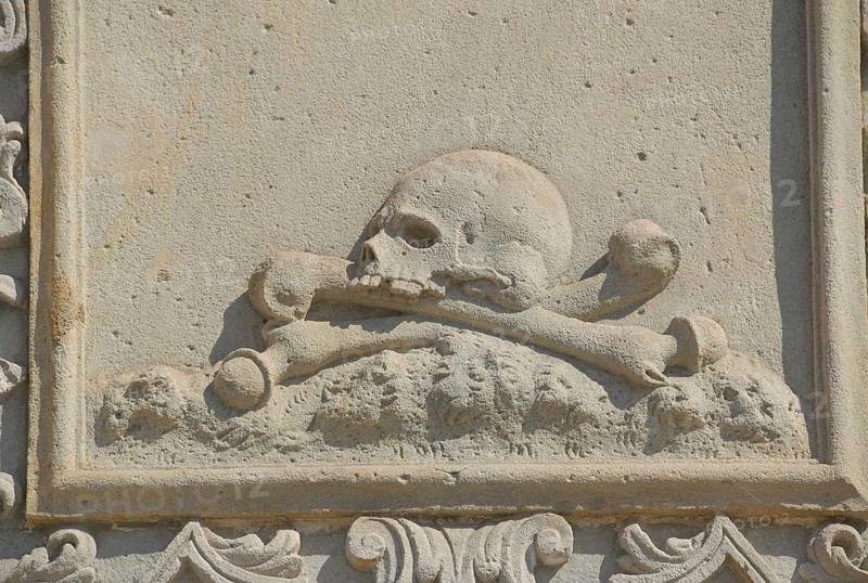 Skull