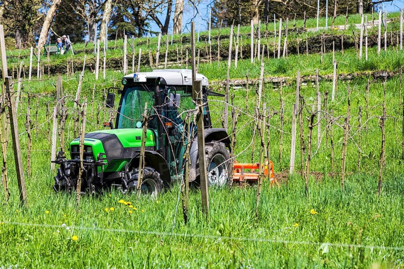 Farmer with his tractor at work among the vineyards on the hillside