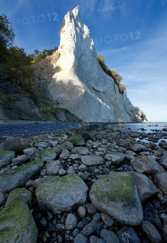 Mons Klint chalk cliff