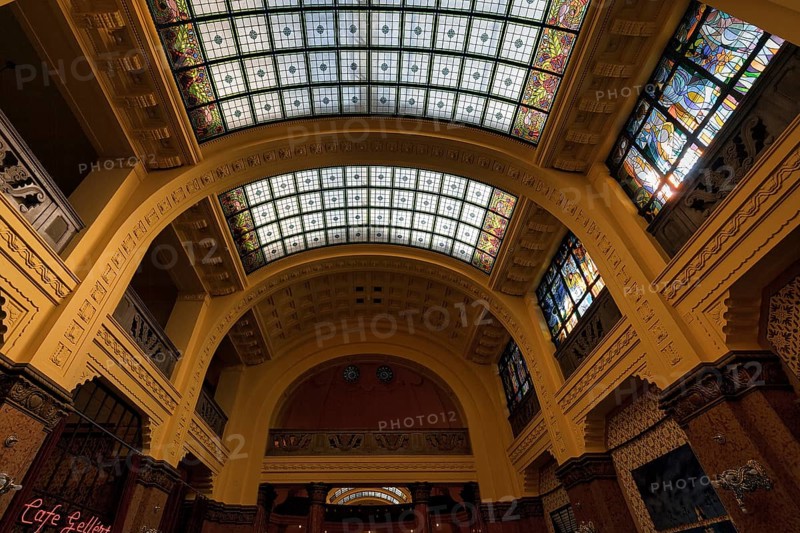 Vaulted ceiling with skylights
