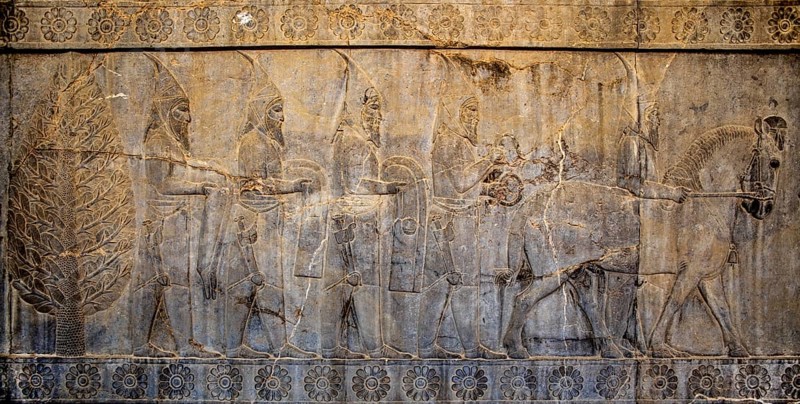 Relief detail of the delegation of nations bringing gifts to Darius on the steps of Apadana Palace