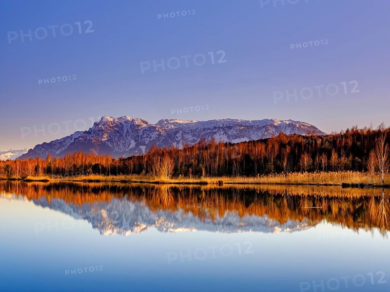 Untersberg reflected in the moor lake in Ainringer Moor