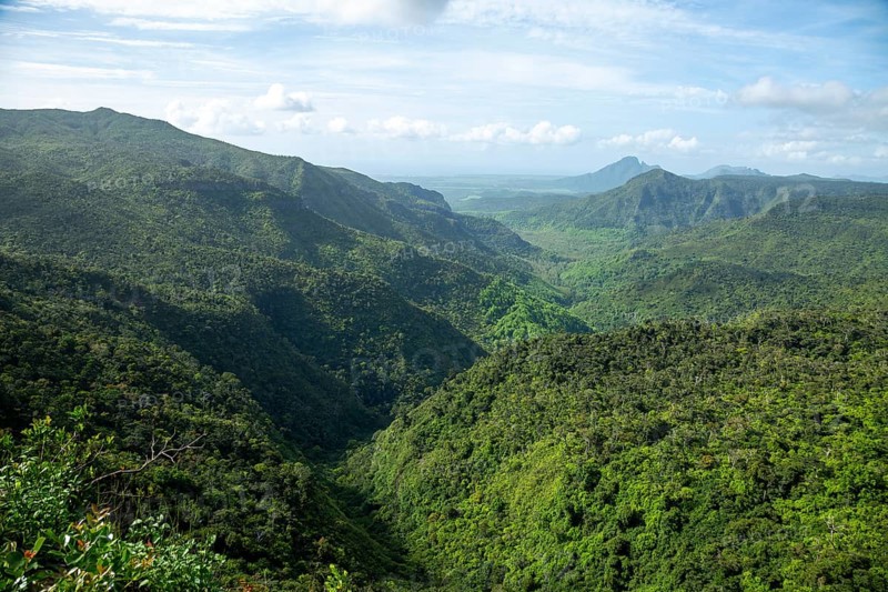 Black River Gorges National Park