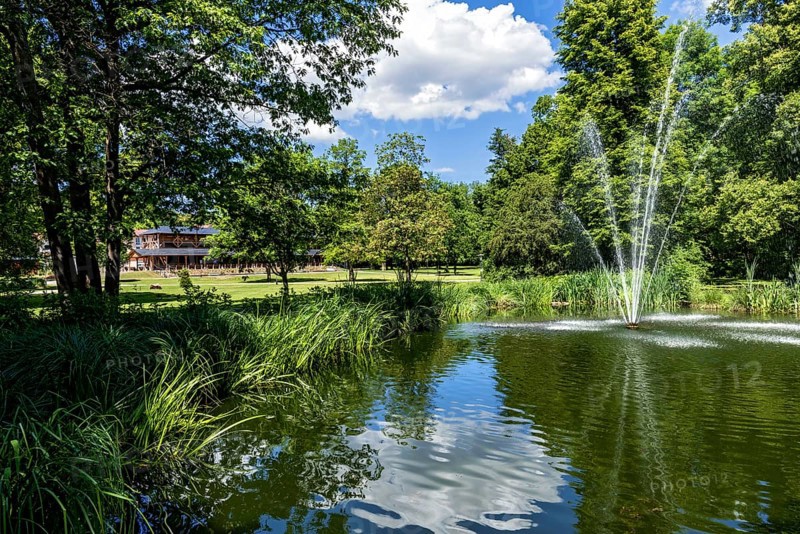 Pond with fountain in the spa park
