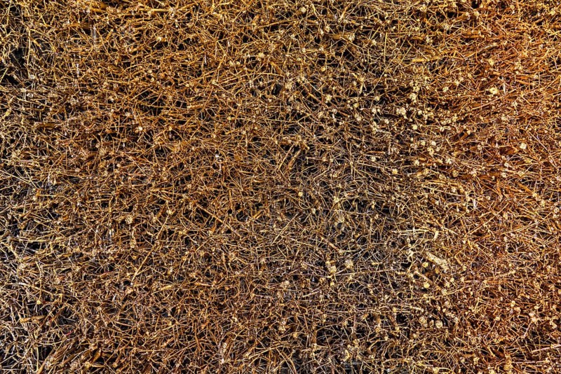 Bundle of brushwood with trickling brine