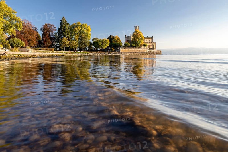 Autumn trees on the shore in the sunshine with Montfort Castle