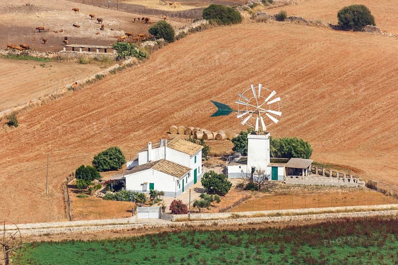 Traditional finca farm with windmill landscape aerial view in Majorca