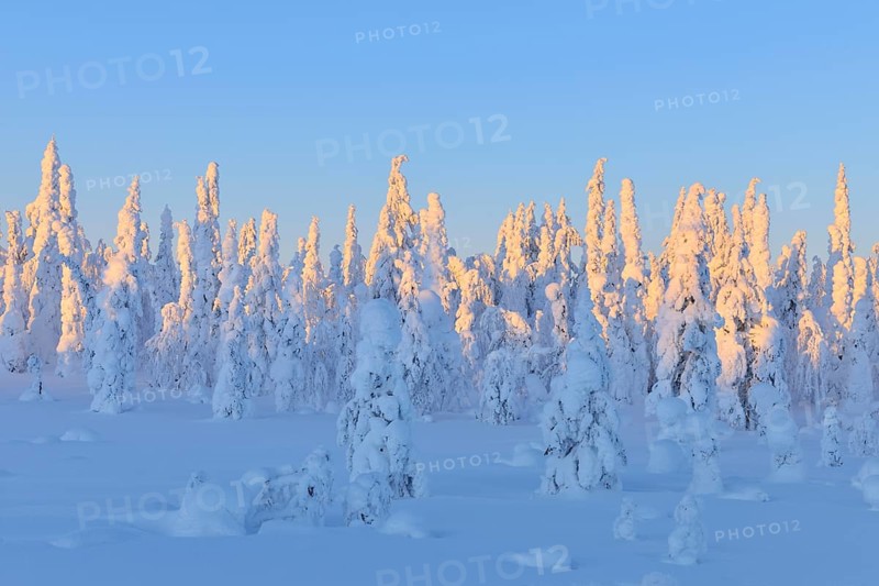 Snow covered winter landscape