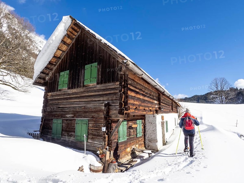 Snowshoe hiker in winter landscape