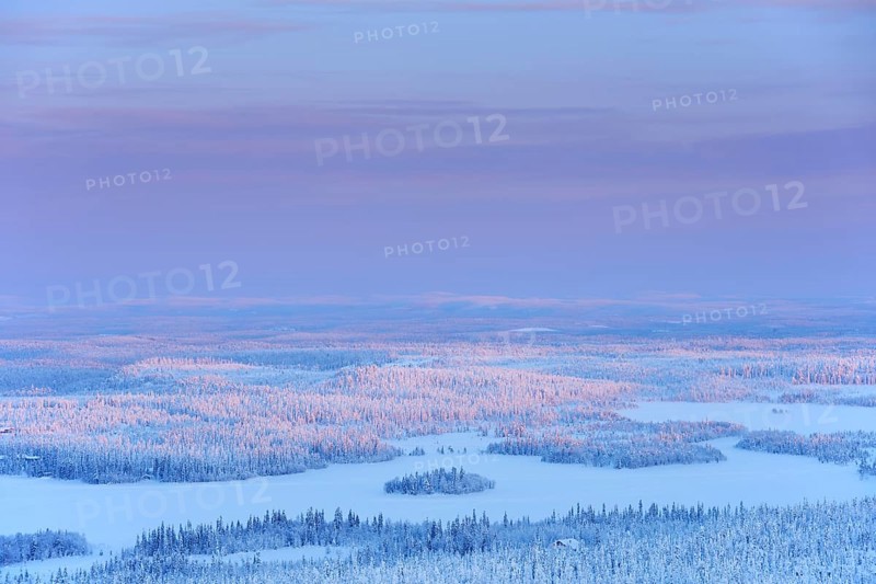 Snow covered Landscape