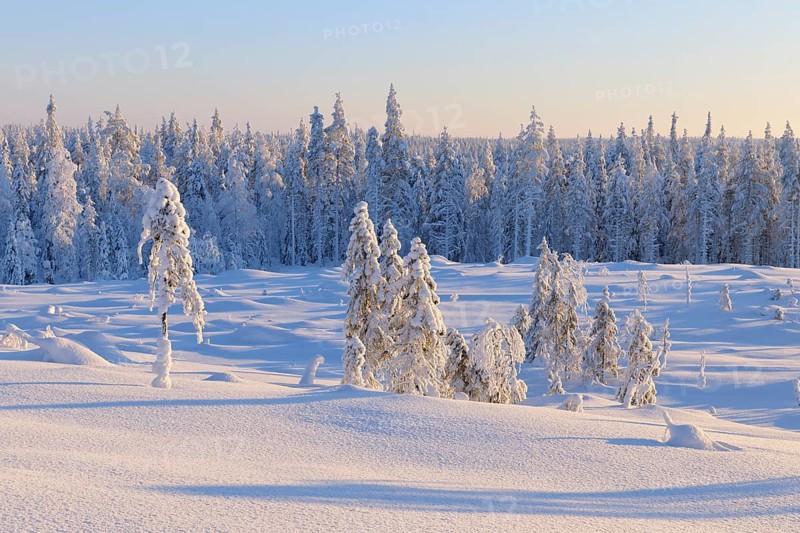 Snow covered winter landscape