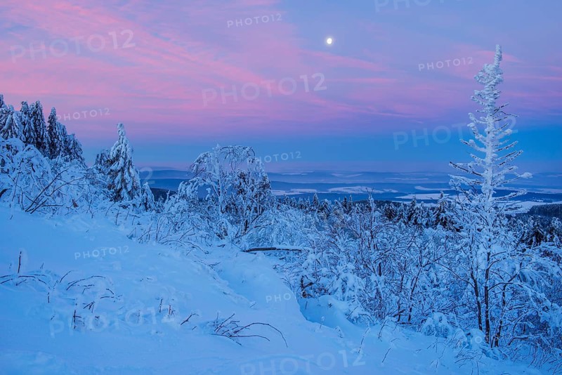 Snow Covered Winter Landscape at Dawn. Grosser Feldberg
