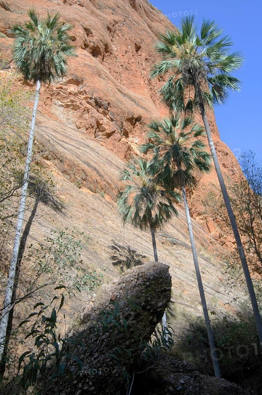 Rock formations in Purnululu National Park
