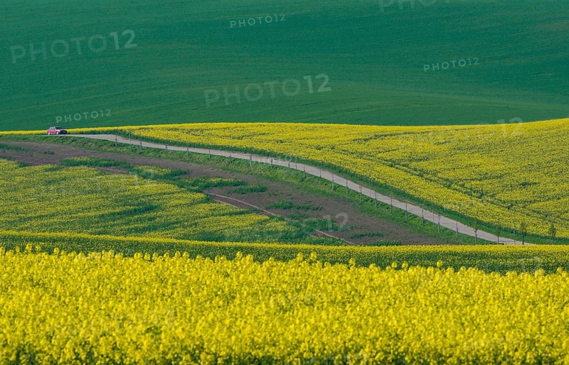 Beautiful and colorful abstract landscape