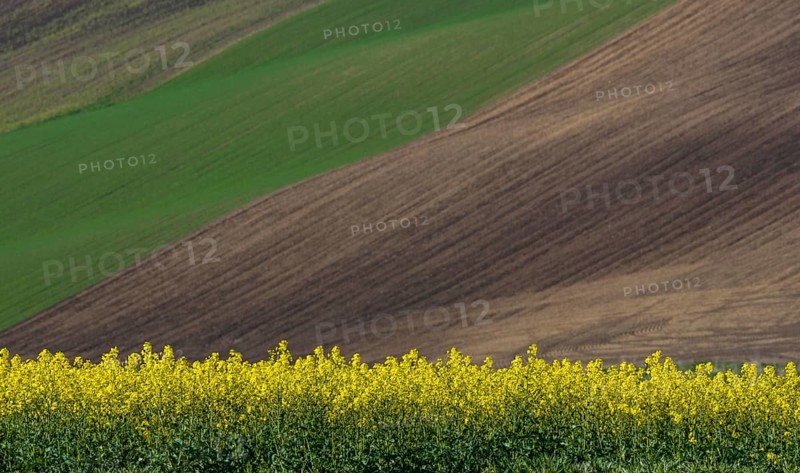 Beautiful and colorful abstract landscape