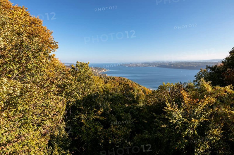 View in sunshine and autumn leaves from Haldenhof