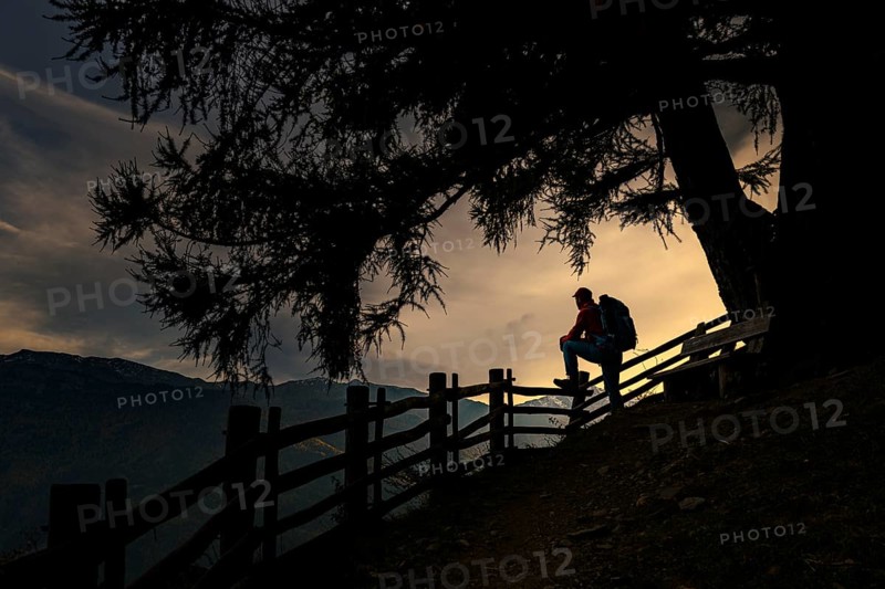 Old fence with mountaineer and large tree as silhouette at sunset