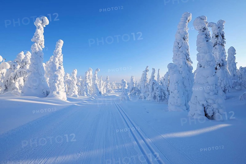 Cross-country ski trail with sun