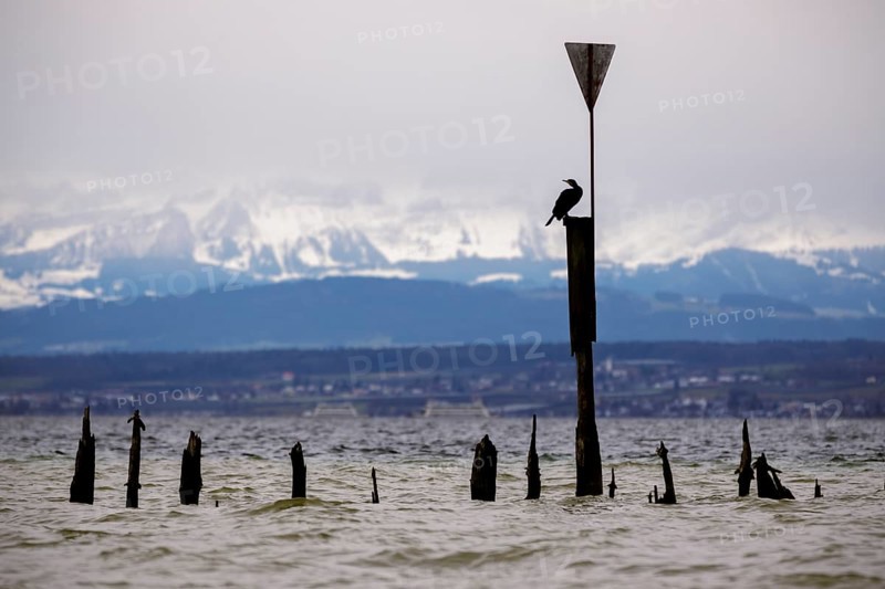 Old wooden groynes at low water and storm on Lake Constance