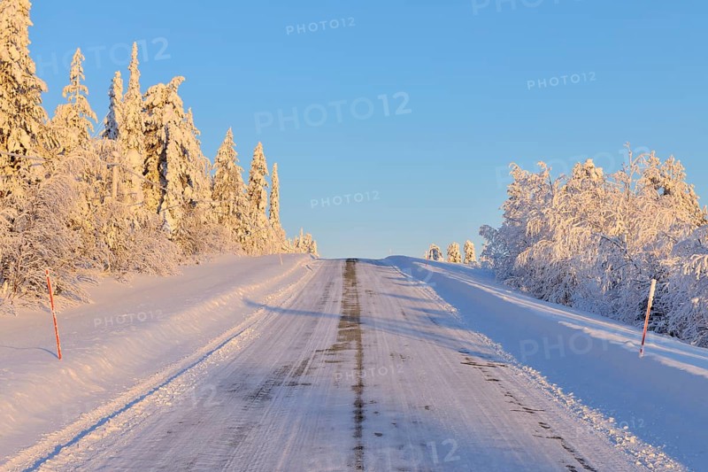 Road in winter