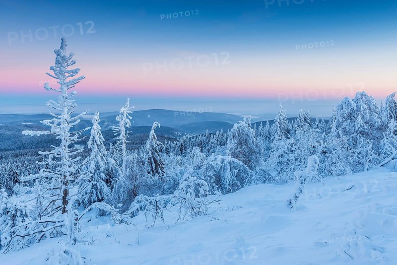 Snow Covered Winter Landscape at Dawn. Grosser Feldberg