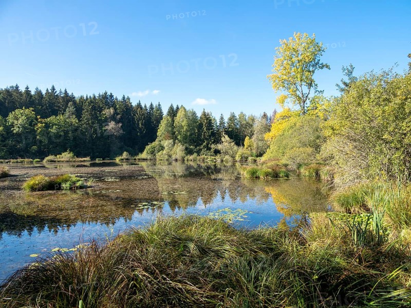 Quiet sunny autumn day at Dingelsdorfer Ried