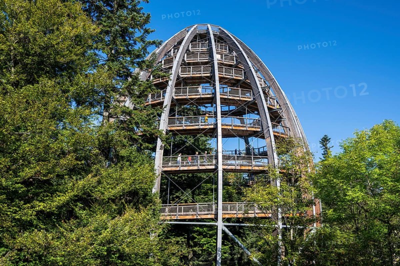 Treetop path