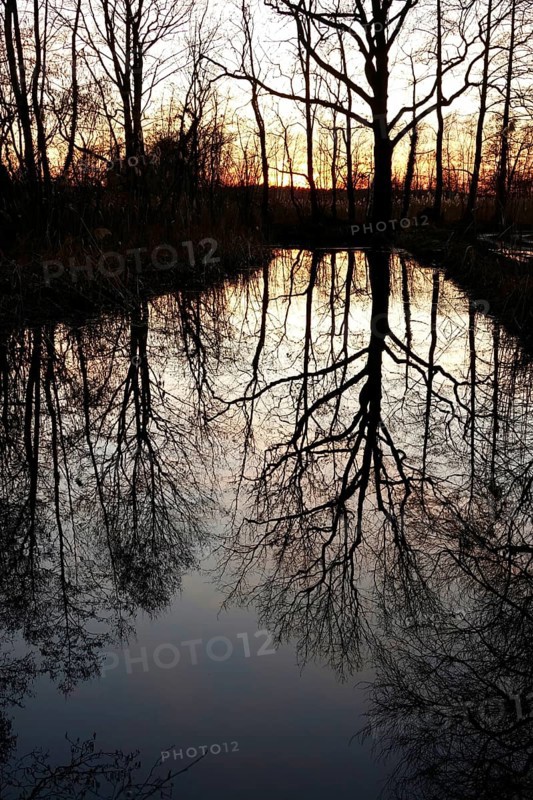 Evening mood at the lake