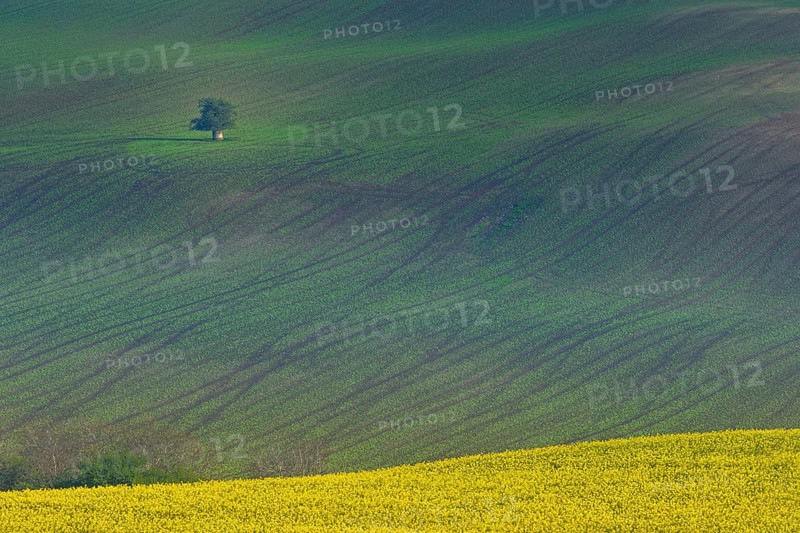 Beautiful and colorful abstract landscape